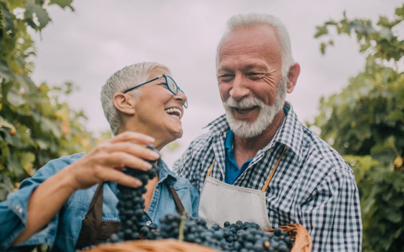 CEREC-Same-Day-Crowns